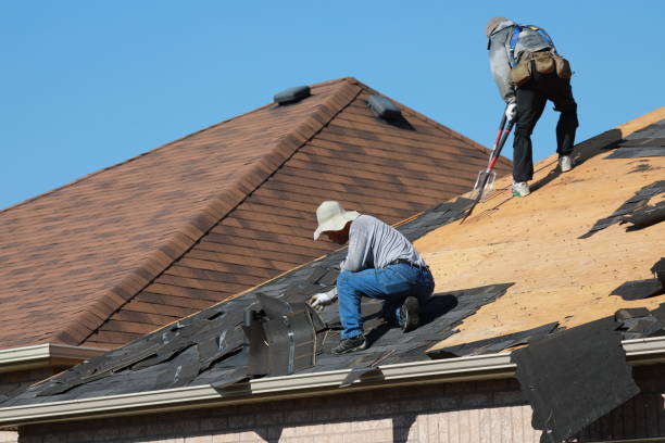 Best Roof Insulation Installation  in Dearborn Heights, MI