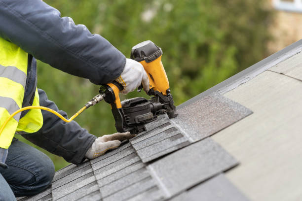 Best Roof Moss and Algae Removal  in Dearborn Heights, MI